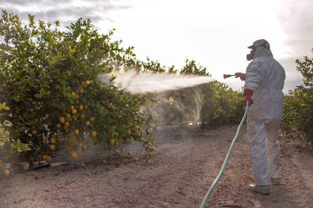 Best Pest Control for Restaurants  in Emporia, VA