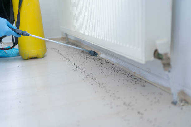 Emporia, VA Pest Control Company
