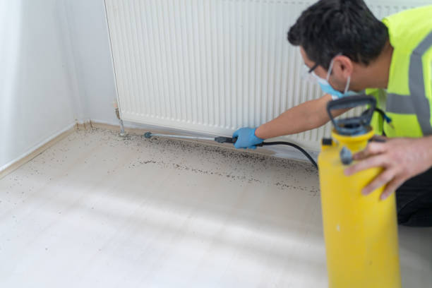 Best Local Pest Control Services  in Emporia, VA