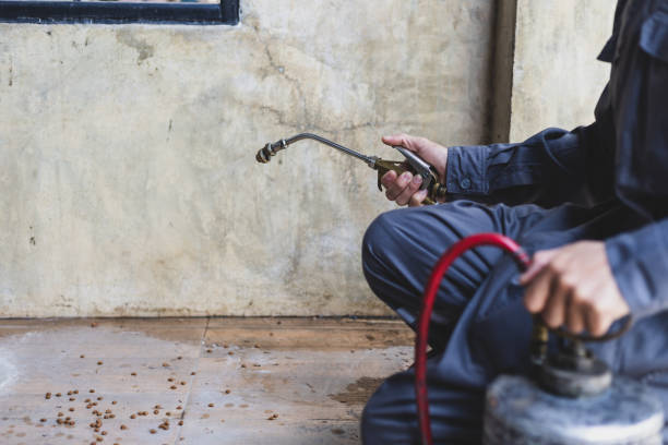 Best Termite Control Services  in Emporia, VA